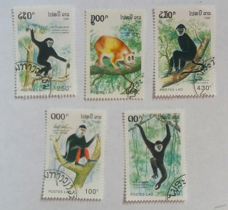 Sestava známek - Postes Lao - opice