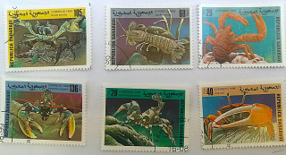 Sestava známek - Sahara - krabi