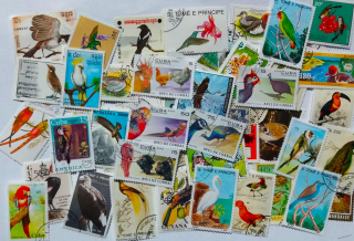 Balíček známek - ptáci - 50 ks