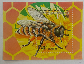 Aršík Congo - včela