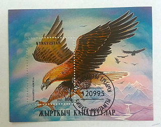 Aršík Kyrgyzstan - dravci