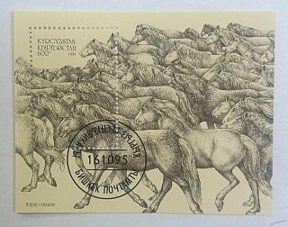 Aršík Kyrgyzstan - koně