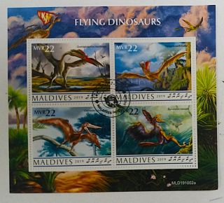 Aršík Maldives - dinosauři