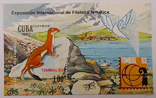 Aršík Cuba - divoká fauna