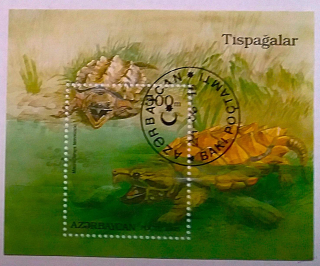 Aršík - Azerbaycan - želvy