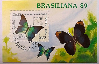 Aršík - Brasiliana - motýli