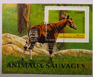 Aršík - Republique de Guinee - okapi