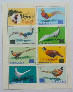 Aršík - Korea - ptáci