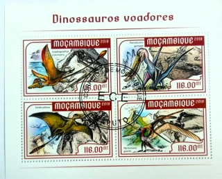 Aršík Mozambik - dinosauři