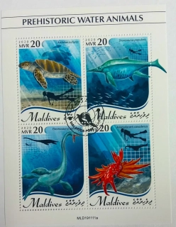 Aršík Maldives - vodní fauna