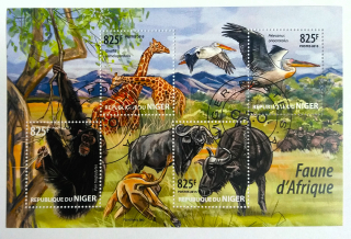Aršík Niger - divoká fauna