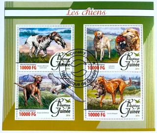 Aršík Republique de Guinee - psi