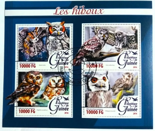 Aršík Republique de Guinee - sovy