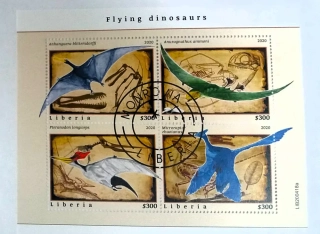 Aršík Liberia - létající dinosauři