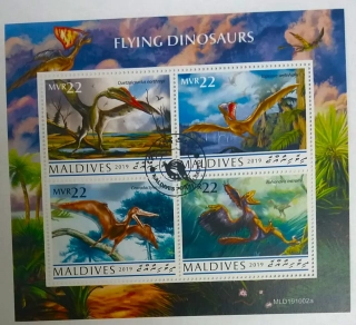Aršík Maldives - létající dinosauři