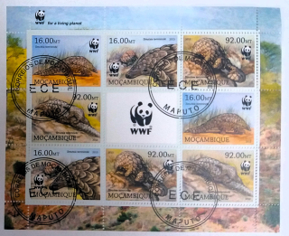 Aršík Mozambik - mravenečník WWF