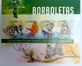 Aršík St. Tomé - motýli