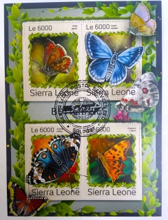 Aršík Sierra Leone - motýli