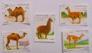 Sestava známek - Afghan - velbloudi