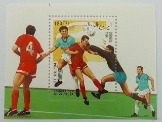 Aršík mini - Sahara OCC - fotbal - čistý