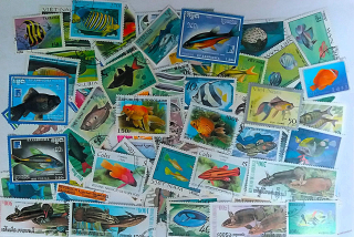 Balíček známek - ryby - 100ks